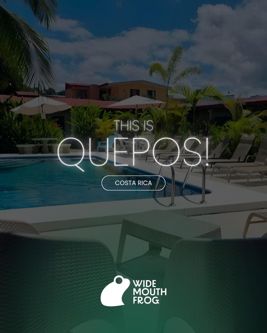 Wide Mouth Frog Quepos Manuel Antonio Exterior foto