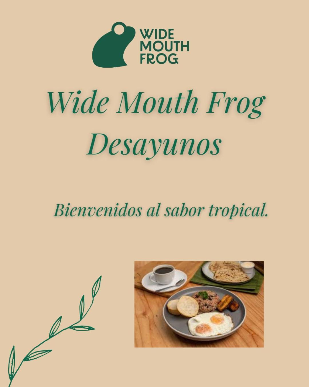 Wide Mouth Frog Quepos Manuel Antonio Exterior foto